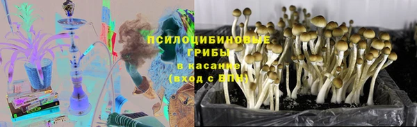 амф Аркадак