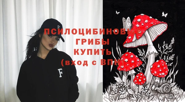 амф Аркадак