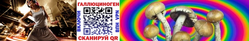 Псилоцибиновые грибы GOLDEN TEACHER  купить наркотики сайты  Покров 
